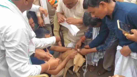 किसानों का अनोखा प्रदर्शन: कलेक्टर नहीं मिले तो कुत्ते को सौंपा ज्ञापन, आंदोलन की चेतावनी