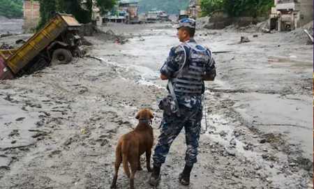 नेपाल बाढ़ में 320 भारतीय लापता: 21 लोग सुरक्षित दिल्ली लौटे, विदेश मंत्रालय ने दी जानकारी