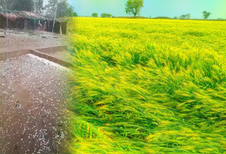 30 से ज्यादा जिलों में आंधी-बारिश का अलर्ट, इन जगहों पर ओले गिरने की संभावना