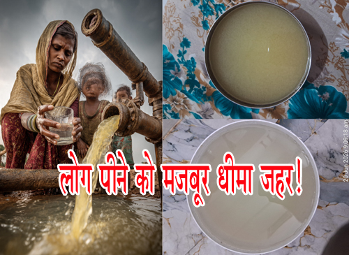 पठार मोहल्ला में बीमारी उगल रहे नल, PHE का 'सैंपल-सैंपल' खेल जारी, भाजपा पार्षद की जिलाधिकारी नहीं सुन रहे, अधिकारी रिपोर्ट दबाकर मौन